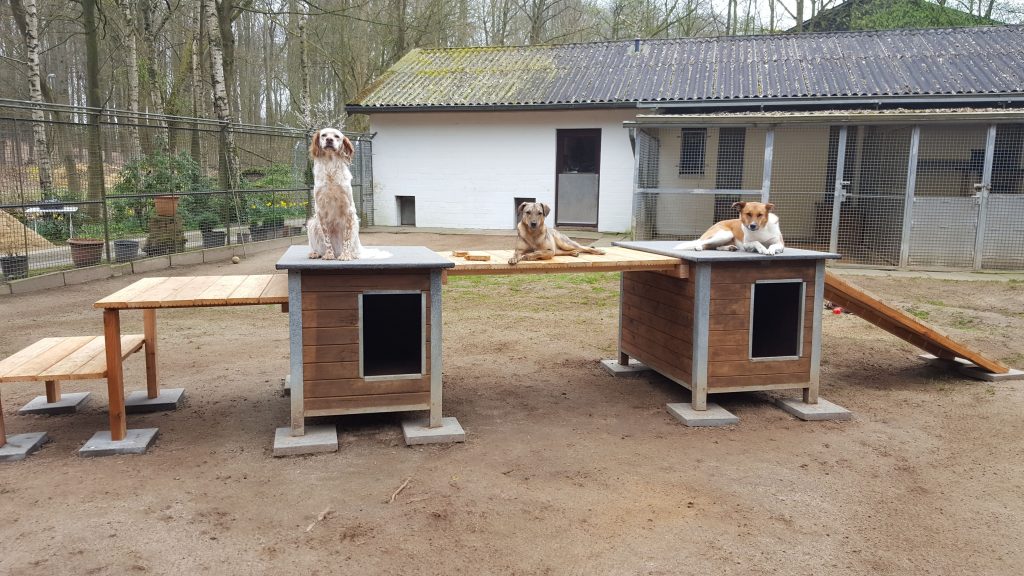 Der Verein Tierschutz AhrensburgGroßhansdorf e.V. von 1964