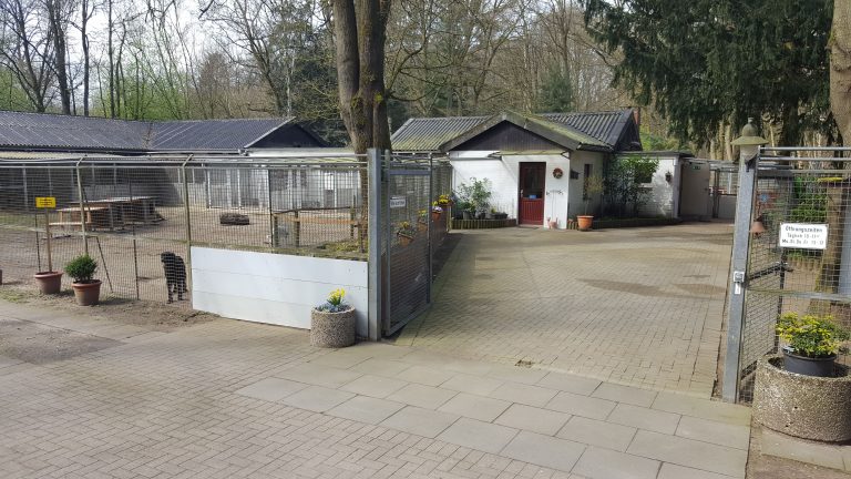 Der Verein Tierschutz AhrensburgGroßhansdorf e.V. von 1964