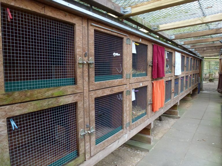 Der Verein Tierschutz AhrensburgGroßhansdorf e.V. von 1964